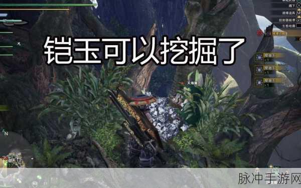 怪物猎人2G中铠玉的高效获取策略指南