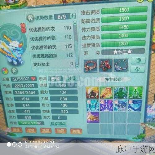 神武手游攻略，揭秘换到雪精灵的实用窍门