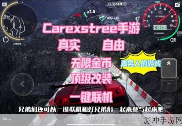 虚拟现实生活模拟器，安卓新版金币游戏深度攻略与下载指南