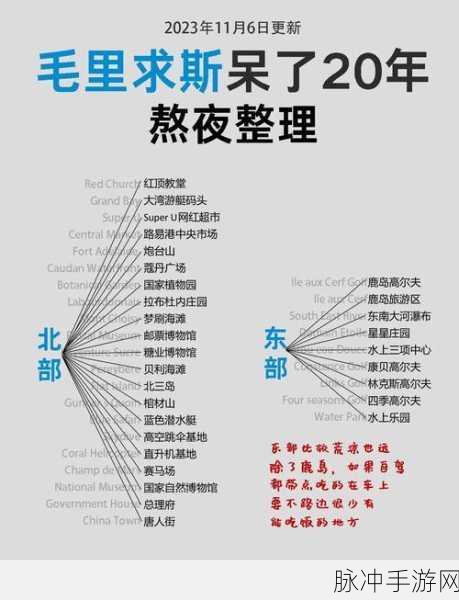 毛球的麻烦，一场轻松有趣的冒险之旅游戏下载指南