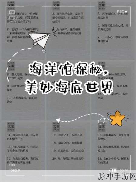 创造与魔法，揭秘海底宫殿传送秘籍，一键探索深海秘境