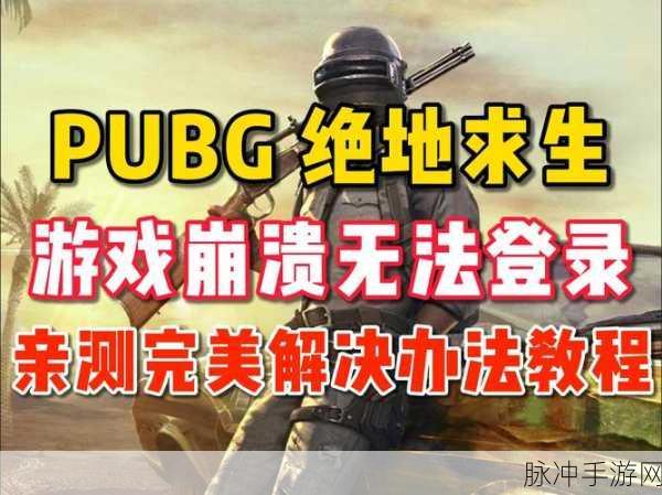 绝地求生:全军出击闪退黑屏问题全面解析与解决方案