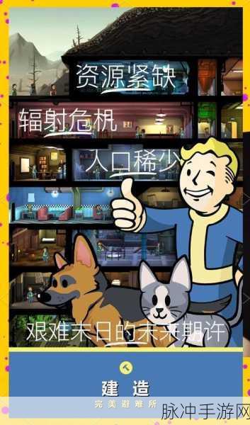 辐射避难所储藏室深度攻略，核心功能与细节解析，物资储备与生存保障全面解读