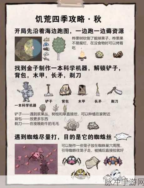 饥荒手游深度攻略，肉干制作方法详解及其属性效果全面解析