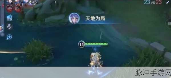王者荣耀播报作用深度解析及荣耀播报可见性探讨