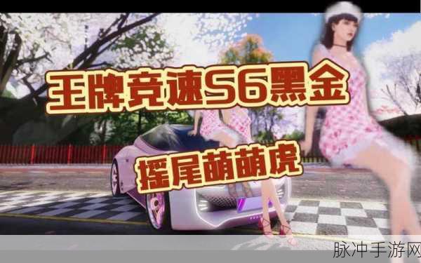 王牌竞速，摇尾萌萌虎获取攻略全解析