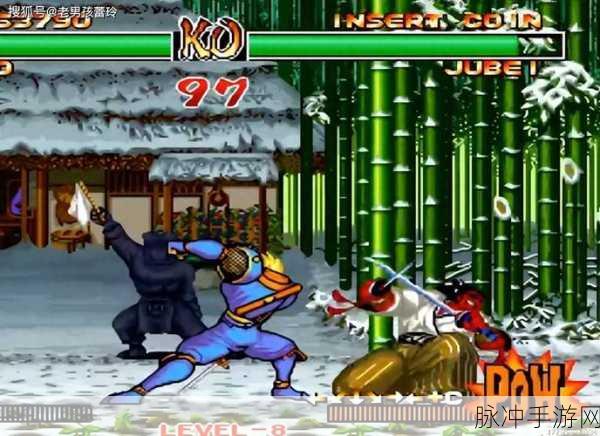 天下第一剑客传侍魂角色提升境界全攻略