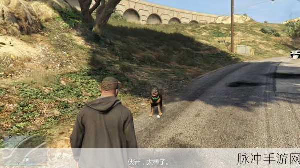激动人心的冒险，GTA5手游版逗乐小查全攻略