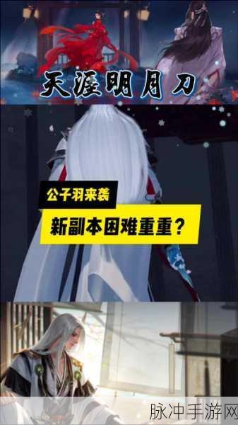 天涯明月刀手游深度解析，公子羽与叶开的身份之谜