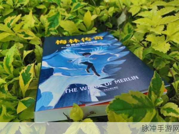 魔法祖师梅林，西方神话传说引领的冒险之旅，谱写你的不朽史诗