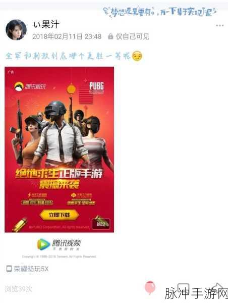 手游市场风云变幻,探究刺激战场下架背后的原因