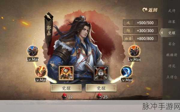 攻城掠地游戏中，深度剖析武将搭配的艺术策略与实战精髓