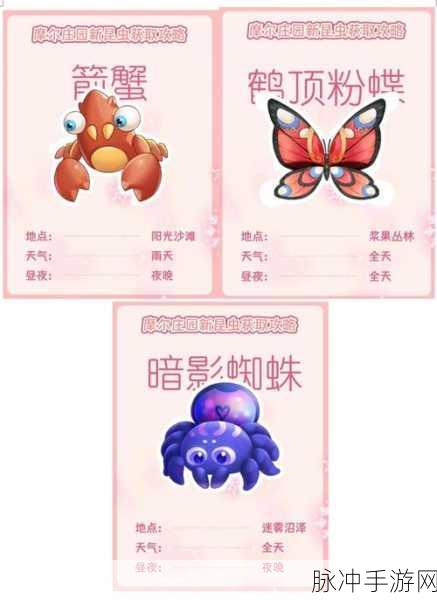 摩尔庄园深度攻略，揭秘草莓蜂技能与捕捉技巧