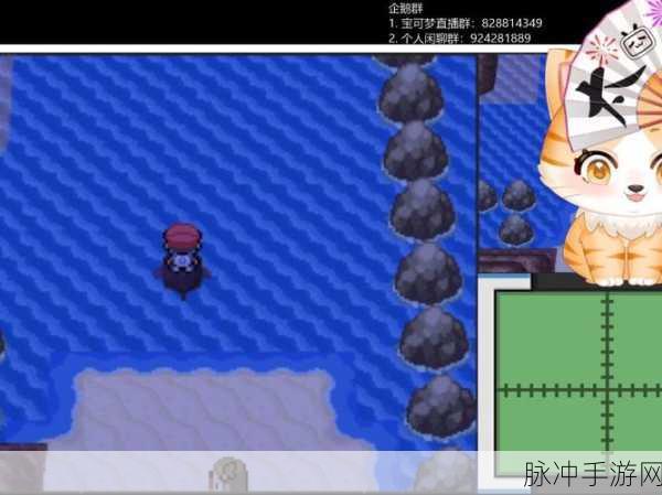 口袋妖怪白金版，全面解析金属外套获取攻略