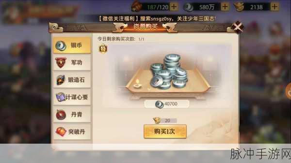 少年三国志，零元宝怎么用？元宝最佳使用途径全解析