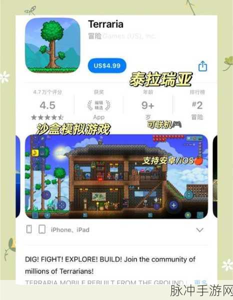 泰拉瑞亚与猫咪养成记，双重乐趣的奇妙融合攻略