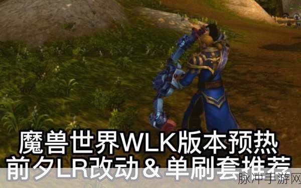 WLK生存LR输出问题深度解析，高手攻略大放送