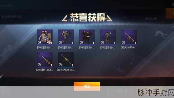 和平精英身份证登录安全性深度解析，风险与防范策略
