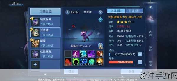 倩女幽魂手游加点攻略与技巧深度解析