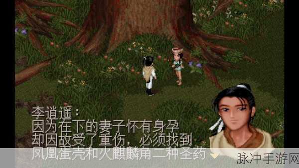 舞叶刃的神秘之旅，仙剑迷们的寻宝探险全攻略
