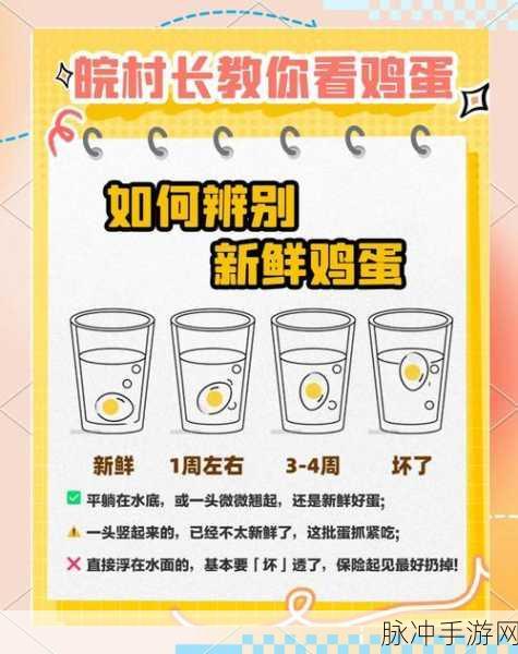 详细解读卡通农场中鸡蛋获取的多种实用途径与技巧