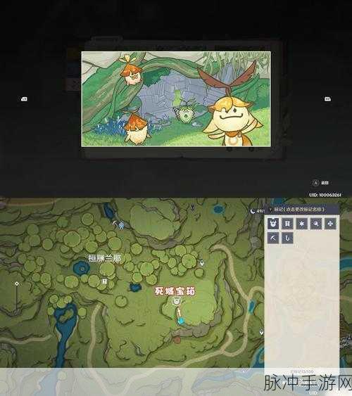 原神探索指南，揭秘海祇之心洞窟的进入方法