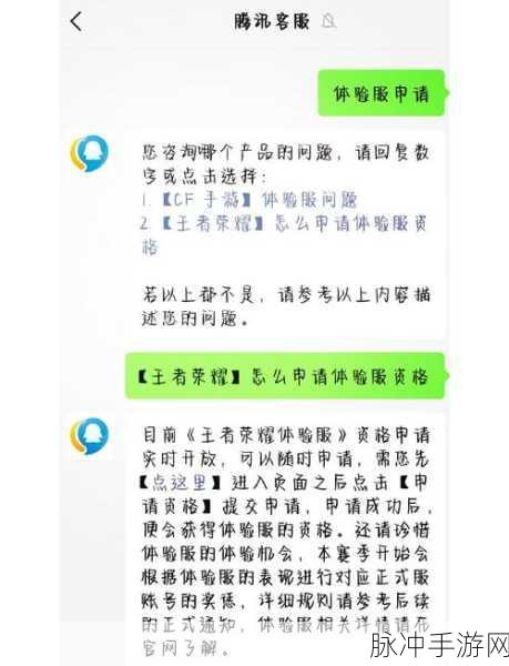 王者荣耀问题反馈全攻略，轻松提交你的疑问与建议