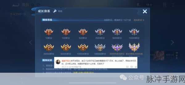 王者荣耀贵族9等级消费揭秘，具体数额引发玩家热议