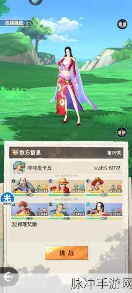 航海王燃烧意志，深度解析佳妮法技能魅力与实战应用