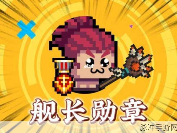 元气骑士深度攻略,揭秘红武舰长勋章的非凡威力