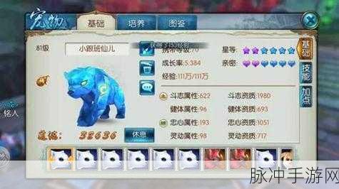 诛仙手游稀有宠物攻略,稀有狐狸与稀有黄鸟深度对比