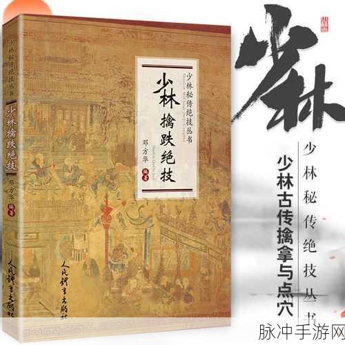 一梦江湖手游易筋经秘籍属性深度剖析及实战效果评价