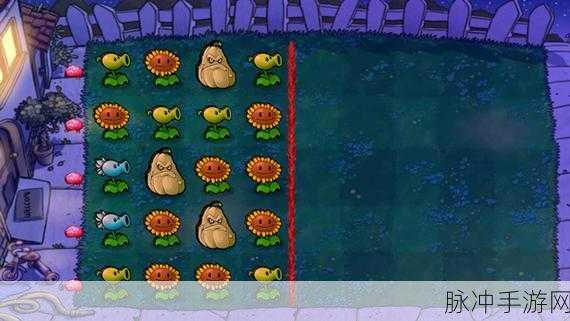 植物大战僵尸95版，自制植物的创意之旅