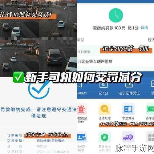 交管12123违章查询攻略，遇到看不到照片怎么办？