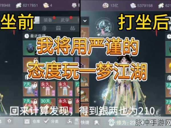 一梦江湖净天地技能全方位深度解析及实战应用技巧教程