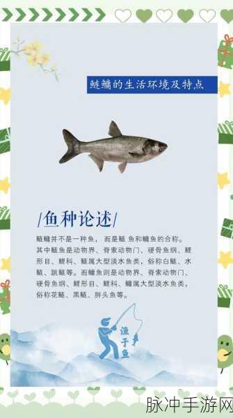 烟雨江湖深度探索，揭秘鳙鱼的多重妙用与江湖秘闻