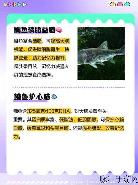烟雨江湖深度探索，揭秘鳙鱼的多重妙用与江湖秘闻