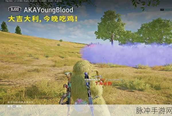 绝地求生刺激战场实战全攻略，解锁高效吃鸡技巧