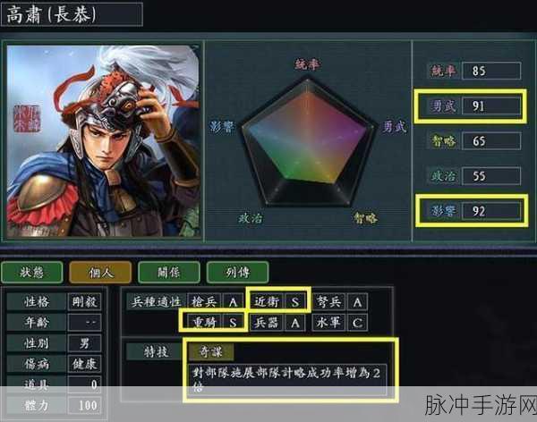 揭秘三国志11手游中石兵八阵的神秘魅力