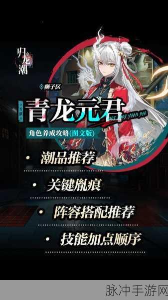 归龙潮青龙云君高效配队深度策略，顶尖队伍搭配全攻略解析