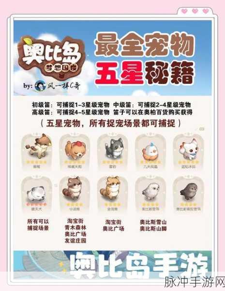 奥比岛手游持续动作技巧与深度攻略