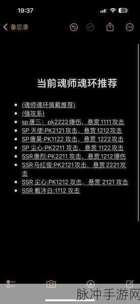 斗罗大陆魂师对决，深度解析小舞魂环搭配策略
