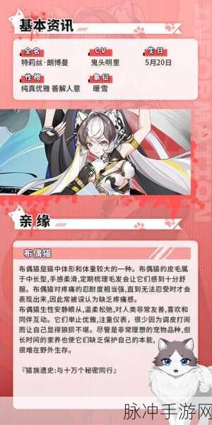 猫之城角色强度全面解析，最新角色强度排名与细节解读