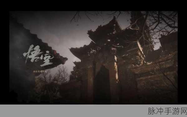 黑神话，悟空漏洞修复工作全面启动，新篇章修复玩家游戏体验的修复实录