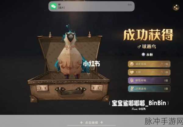 哈利波特手游攻略，神奇动物空间里球遁鸟的羽毛获取全解析