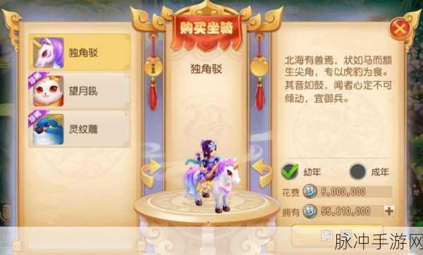 梦幻西游手游，全面解析坐骑升级攻略