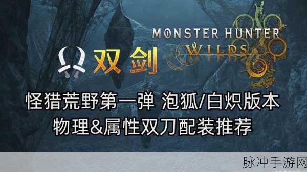 PSP怪物猎人3单手剑深度攻略，新手与老手的双刃剑