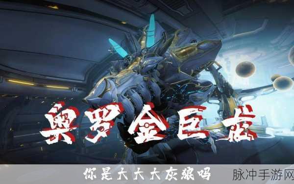 星际战甲深度攻略，解锁奥罗金遗迹的全面指南