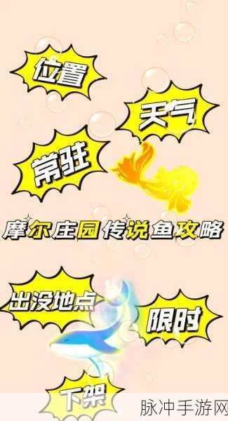 摩尔庄园手游攻略，揭秘神秘湖钓鱼圣地与鱼类大全