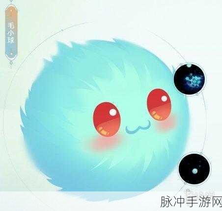 梦幻西游手游毛小球获取攻略，全面剖析获取方法与技巧